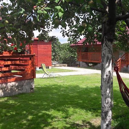 Casa Anamaria Villa Turda Luaran gambar